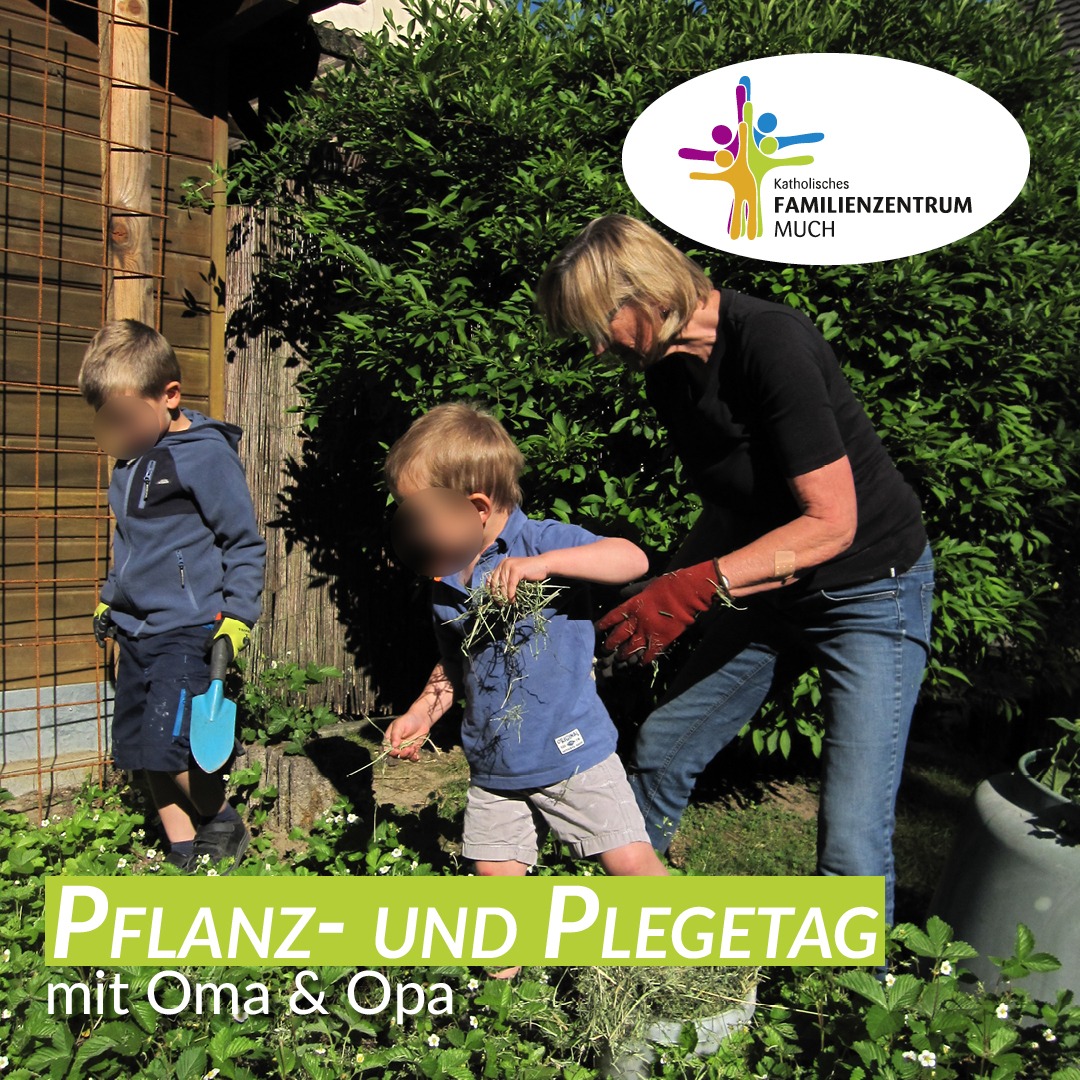 Pflanz